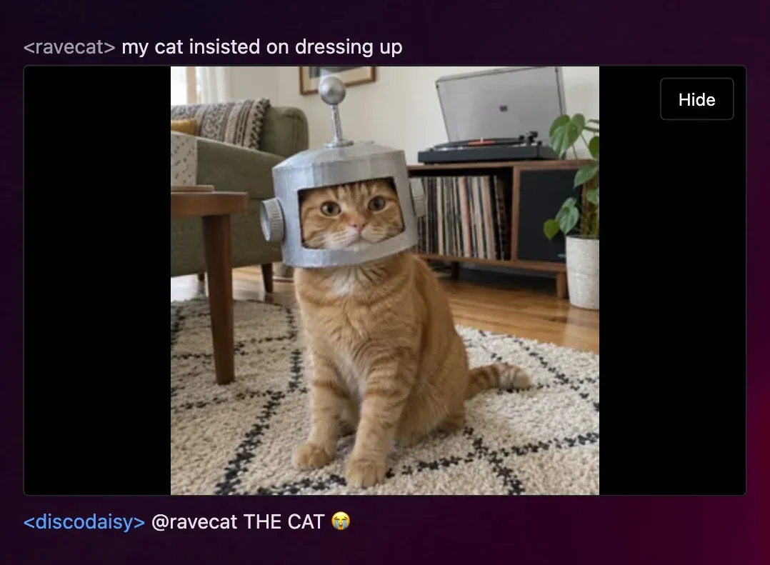 chat